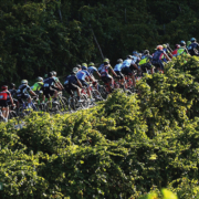 Tonutti Tecniche Grafiche tra gli sponsor di Prosecco Cycling Valdobbiadene