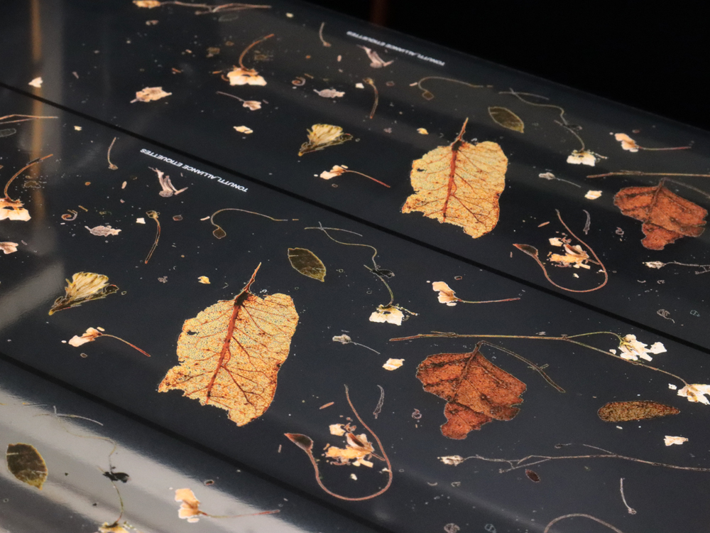 TonuttiTecnicheGrafiche StampaDigitale 3